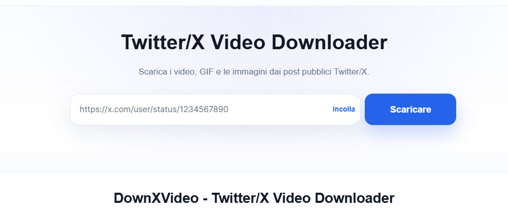 Il campo di inserimento del link, il pulsante Incolla e il pulsante di download blu sulla pagina principale della lingua di questo articolo.