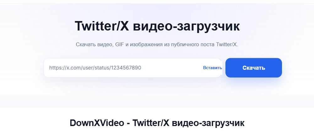 Поле ввода ссылки на главной странице языка статьи, кнопка вставки и синяя кнопка скачивания.