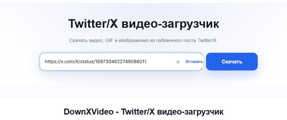 В поле ввода DownXVideo уже введена ссылка на публичный пост X, справа отображается синяя кнопка загрузки.